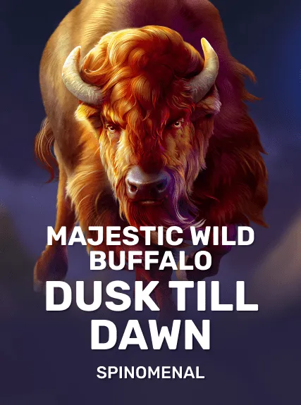 Majestic Wild Buffalo - Dusk Till Dawn