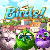Birds