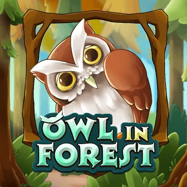 Owl In Forest