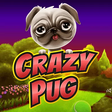 Crazy Pug