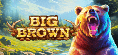 Big Brown