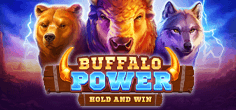 Buffalo Power Hold and Win