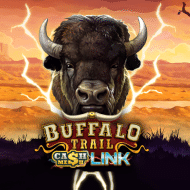 Buffalo Trail - Cash Mesh LINK