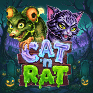 Cat 'n Rat