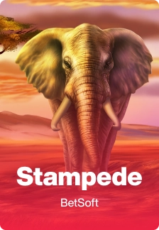 Stampede