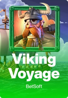 Viking Voyage