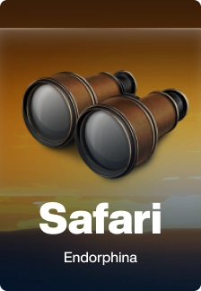 Safari
