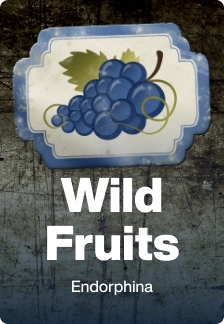 Wild Fruits