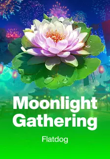Moonlight Gathering