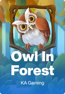 Owl In Forest