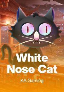 White Nose Cat