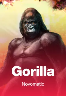 Gorilla