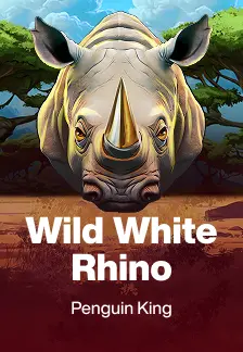 Wild White Rhino