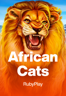 African Cats