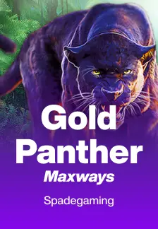 Gold Panther Maxways