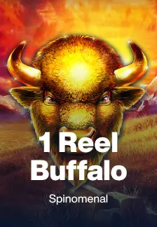 1 Reel Buffalo