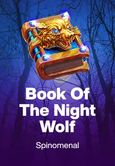 Book of The Night Wolf