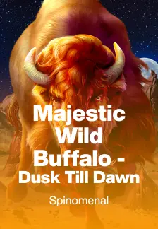 Majestic Wild Buffalo - Dusk Till Dawn