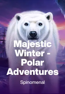 Majestic Winter - Polar Adventures