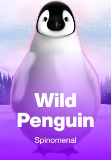 Wild Penguin