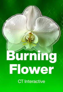 Burning Flower