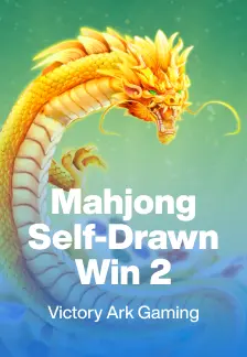 Mahjong Self-Drawn Win 2