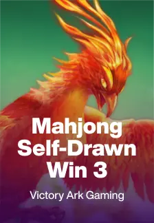 Mahjong Self-Drawn Win 3