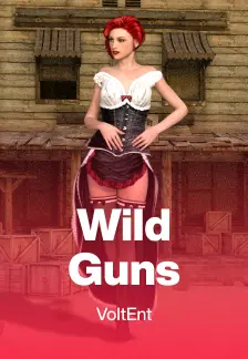 Wild Guns