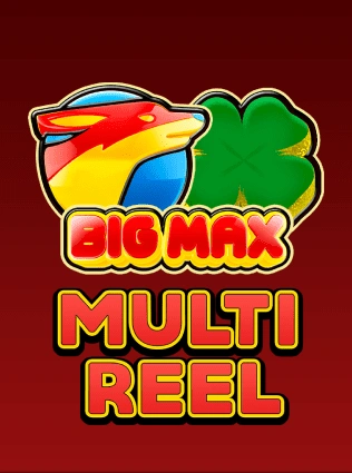 Big Max Multi Reel