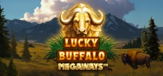 Lucky Buffalo Megaways game tile