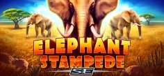Elephant Stampede SE game tile