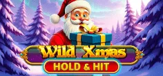 Wild Xmas - Hold & Hit game tile