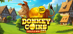 Donkey Coins Hold & Win game tile