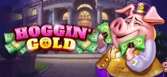 Hoggin' Gold game tile