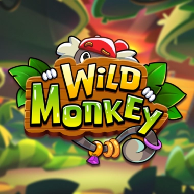 Wild Monkey
